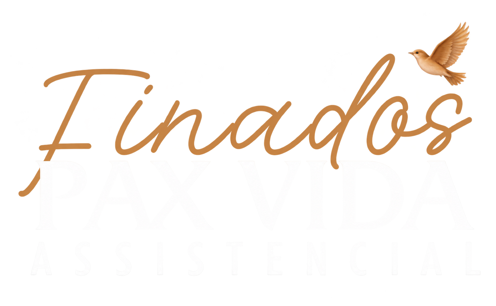 Finados Pax Vida Assistencial